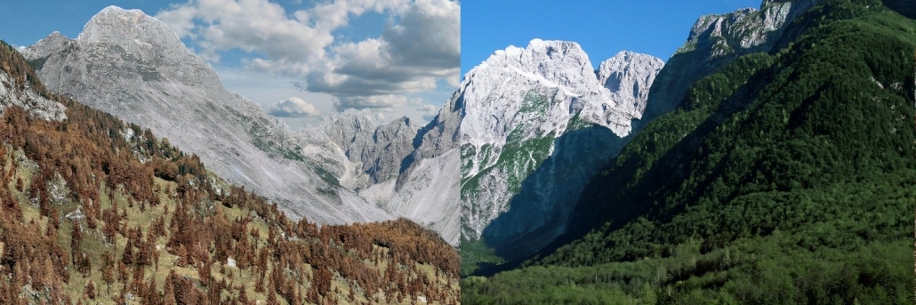 Na vroči strani Alp – življenje v času podnebnih sprememb v parlamentu