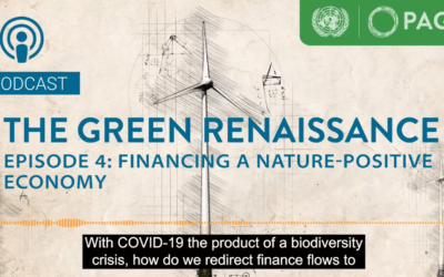 Novi #TheGreenRenaissance podkast: Trajnostno financiranje