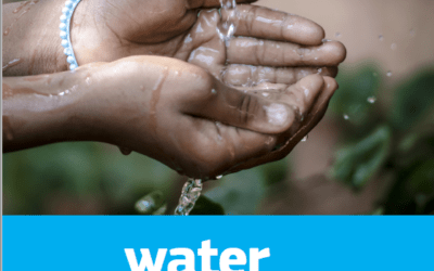Water and Beyond