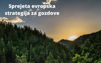 Nova evropska strategija za gozdove sprejeta