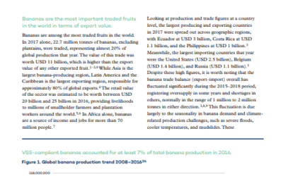 Global Market Report: Bananas