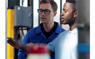 From Refugees to Workers: Mapping Labour-Market Integration Support Measures for Asylum Seekers and Refugees in EU Member States. Volume II: Literature Review and Country Case Studies