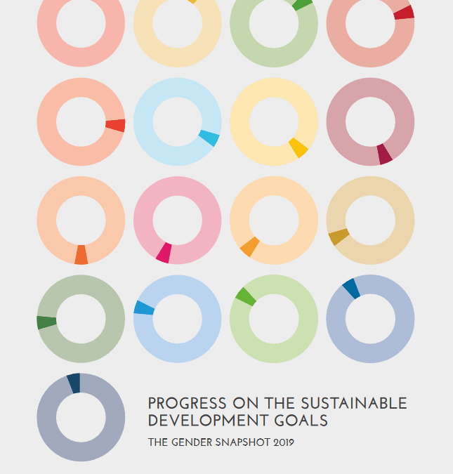 Progress on the Sustainable Development Goals: Gender Snapshots 2019