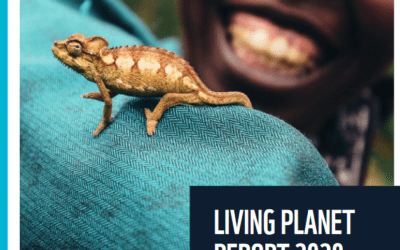 Living Planet Report 2020