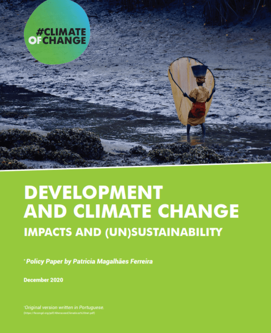 Development and Climate Change: Impacts and (Un)sustainability