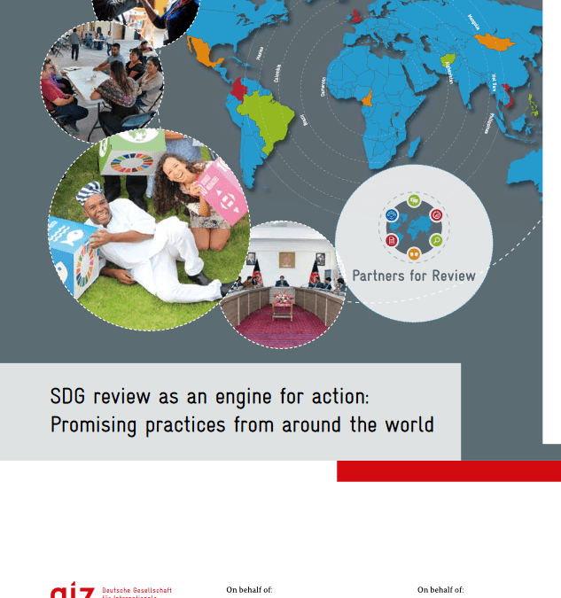 SDG review as an engine for action: Promising practices from around the world