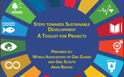 Steps towards sustainable development: A Toolking for Projects