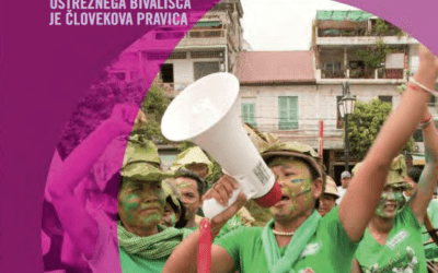 Spoštuj moje pravice, spoštuj moje dostojanstvo: Sklop 2 – pravica do ustreznega bivališča je človekova pravica