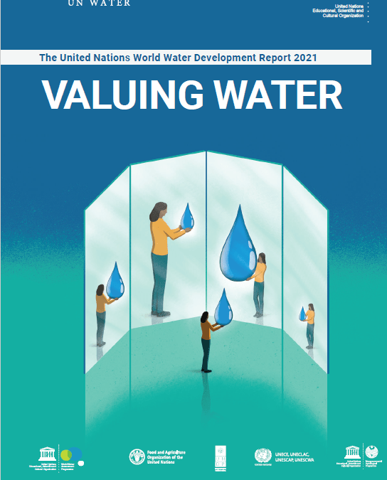 UN World Water Report 2021: Valuing Water