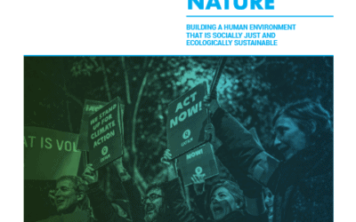 Towards a wellbeing economy that serves people and nature: Building a human environment