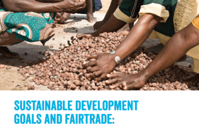 Sustainable Development Goals and Fairtrade: the case for partnership