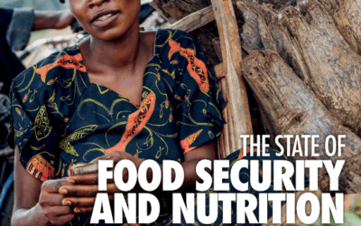 The State of Food Security and Nutrition in the World 2019
