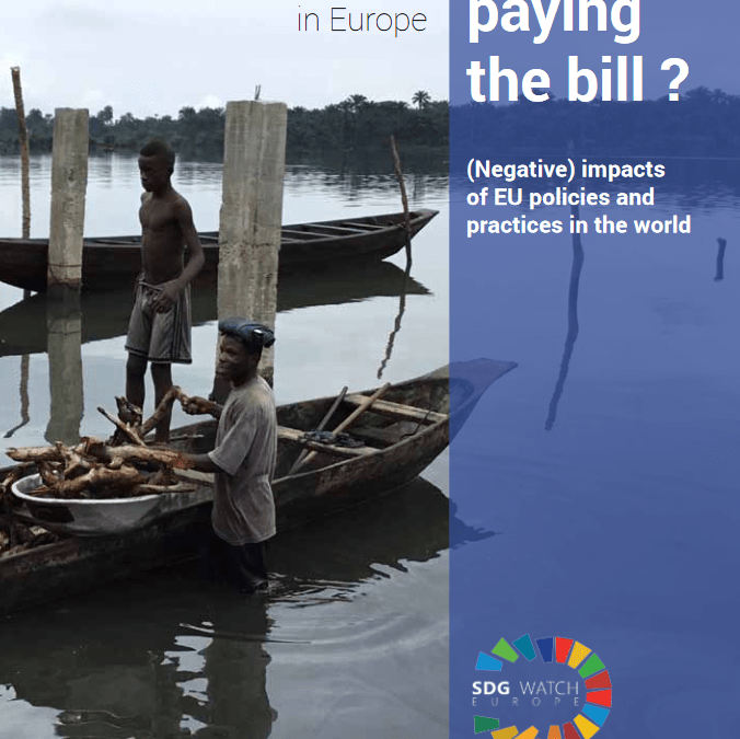Who is paying the bill? (Negative) impacts of EU policies and practices in the world