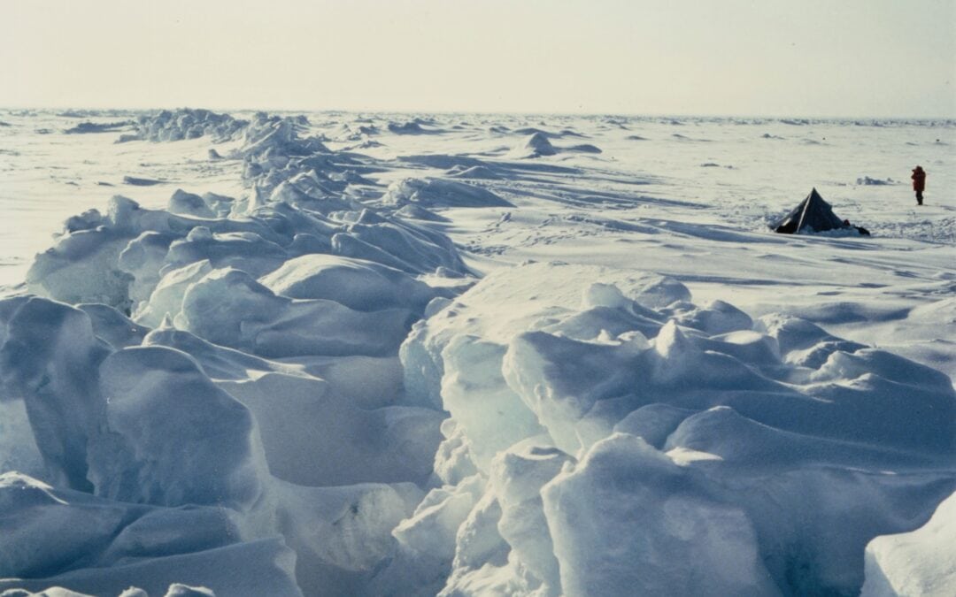 Leta 2020 so na Arktiki zabeležili nenavadno visoke temperature zraka in drugo najnižjo količino morskega ledu.