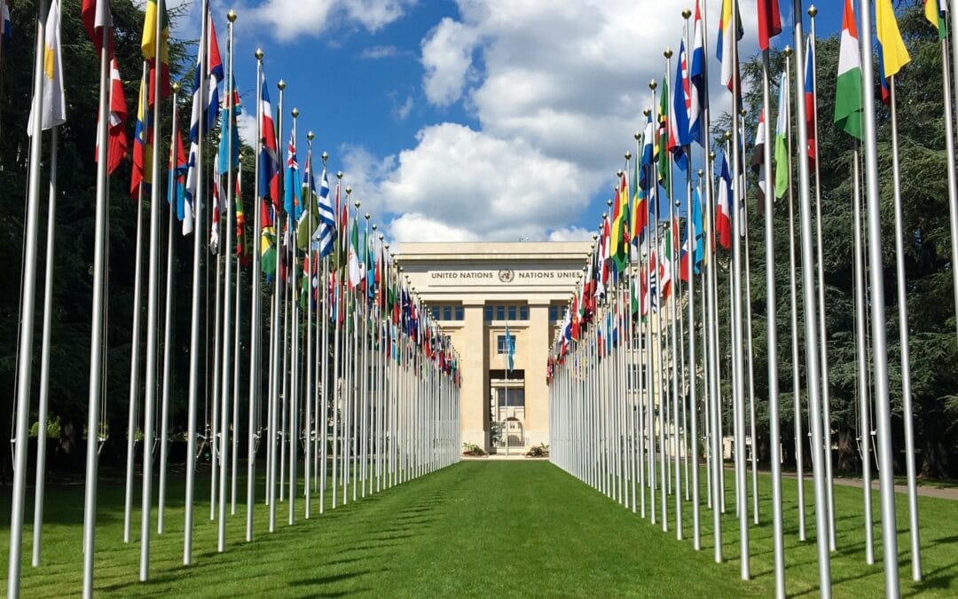 Zastave držav članic OZN pred ženevsko palačo narodov. Foto: Wikimedia Commons