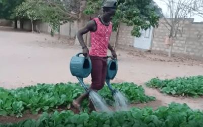 Komentar: Kdor hitro da, dvakrat da