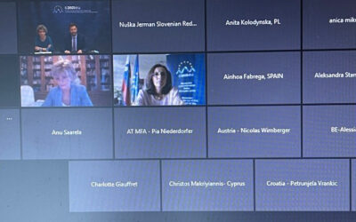 Poročilo o Smernicah EU glede promocije skladnosti z mednarodnim humanitarnim pravom