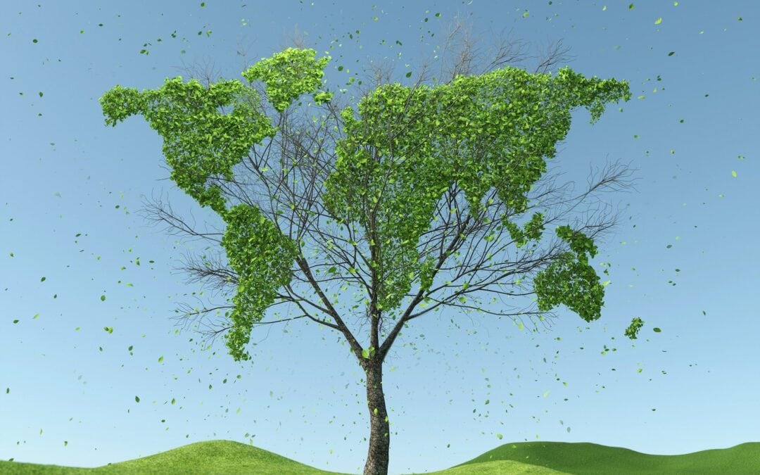 Svet kot zeleno drevo. Vir: Pixabay