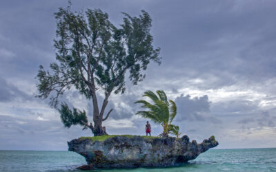 Komentar: Krepitev multilateralizma ali razdeljeni svet