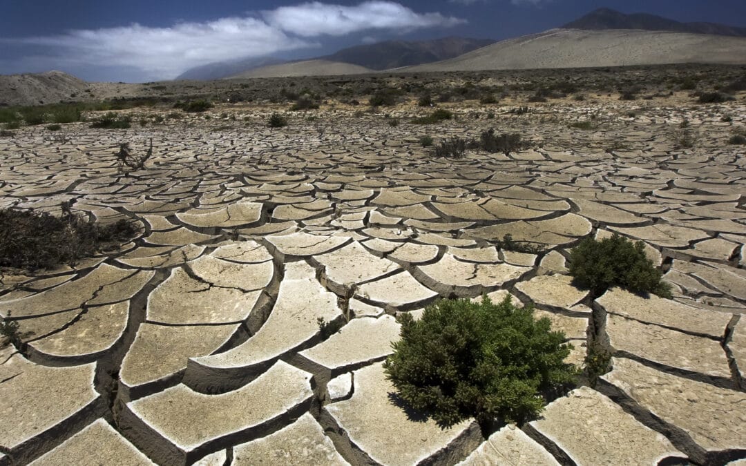 1,5 milijarde ljudi se bojuje za preživetje na preveč slani zemlji