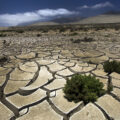 Podnebne spremembe, #ClimateOf Change. Foto: Iztok Bončina