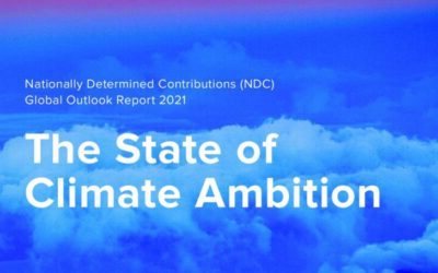 The State of Climate Ambition