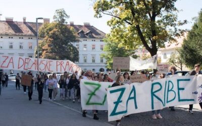 Mladi za podnebno pravičnost Maribor med kandidati za osebnost leta