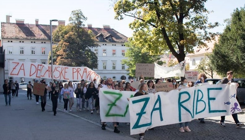 Mladi za podnebno pravičnost Maribor: Vir: FB