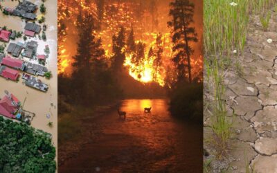 EU Agencija za okolje: Ekstremno vreme vzrok smrti 311 žrtev v Sloveniji