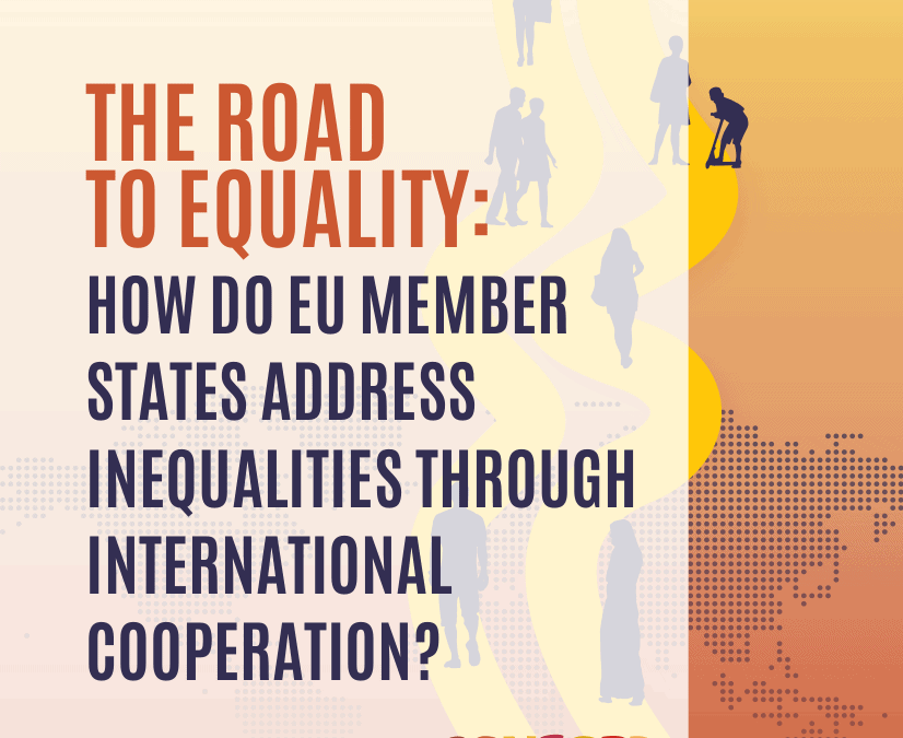 The Road to Equality: How do EU Member States address inequalities through international cooperation?