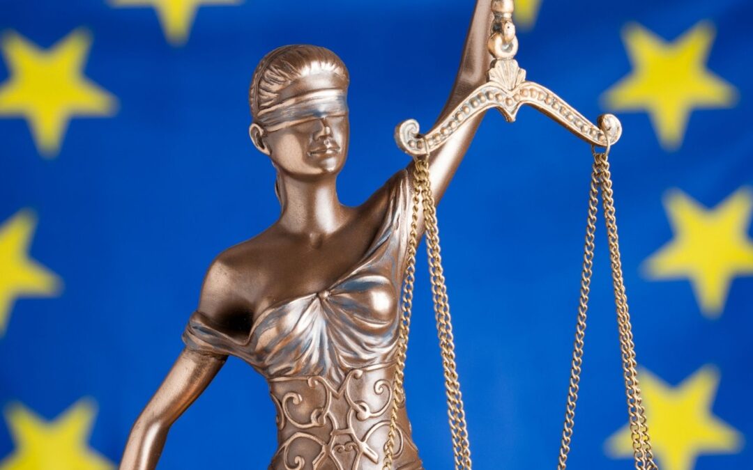FRA poziv NVO pri pripravi novega poročila o upoštevanju Listine o temeljnih pravicah EU