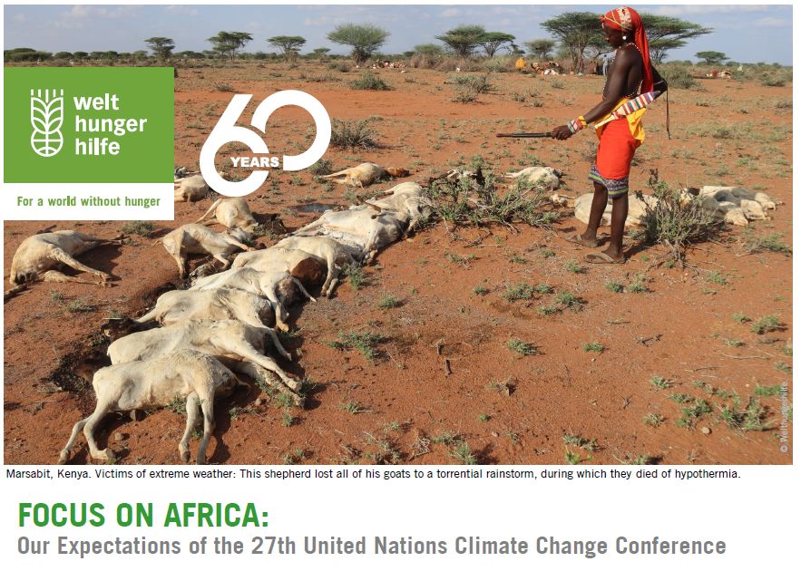 Kaj mora doseči mednarodna konferenca o podnebnih spremembah leta 2022 (COP27)