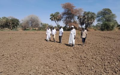 Zavod Krog in partnerska organizacija HOPE v okviru projekta »Voda, higiena, hrana za dostojno življenje Darfurcev«, zbirata pomoč za 20 milijonov Sudancev