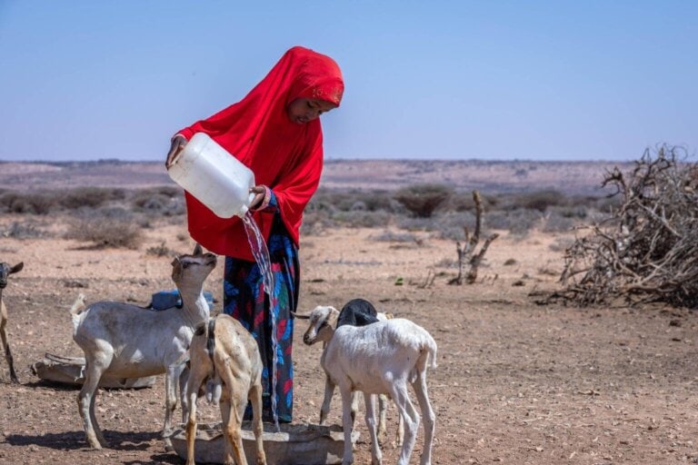 Unicef objavil globalno analizo o dostopu do vode