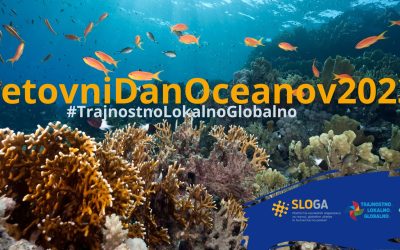 Svetovni dan oceanov opozarja na njihovo zaščito