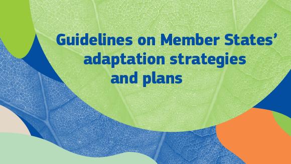 Guidelines on MS adaptation strategies and plans