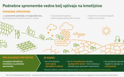 Revizijsko poročilo Računskega sodišča glede aktivnosti MKGP na prilagajanja na podnebne spremembe
