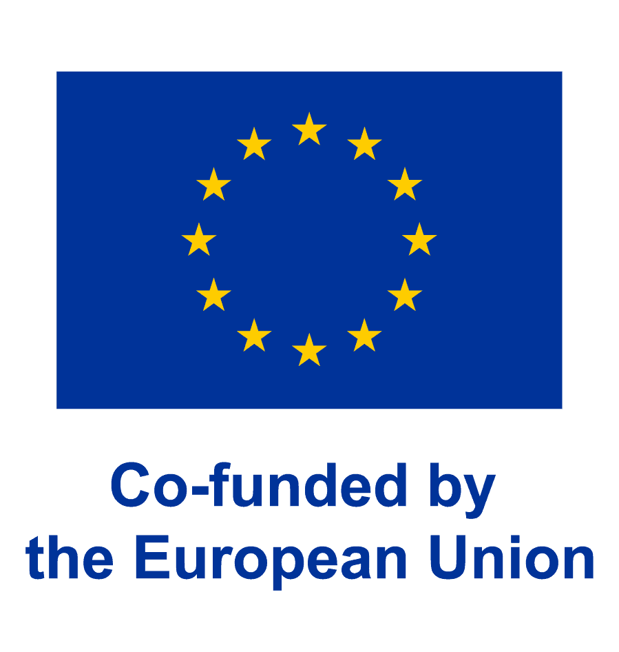 Co-funded by the EU vertical