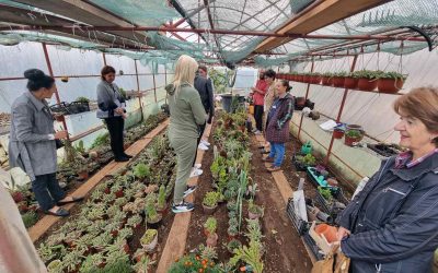 Projekt EKOS: “Ekonomsko opolnomočenje žensk in deklet s sajenjem zdravilnih in aromatičnih zelišč v Črni gori”