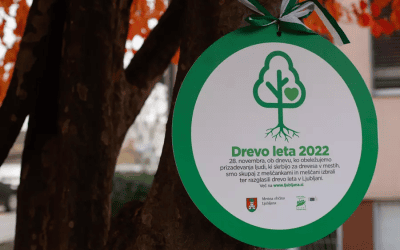 V Ljubljani izbirajo drevo in drevored leta 2024