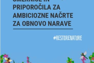 Smernice in priporočila za ambiciozne načrte za obnovo narave