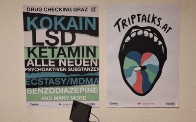 Združenje DrogArt v Gradcu izmenjevalo dobre prakse zmanjševanja škode zaradi drog