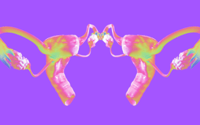 KUD Transformator: Mladi oblikovali zakonodajne predloge za zaščito reproduktivnih pravic