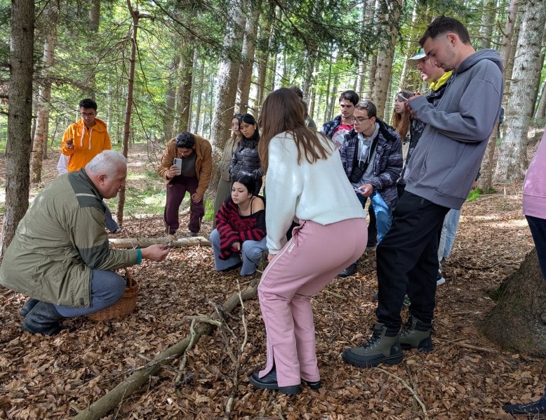 Usposabljanje za izobraževalce: Gozd kot prostor učenja: trajnostni pristopi v pedagoškem delu