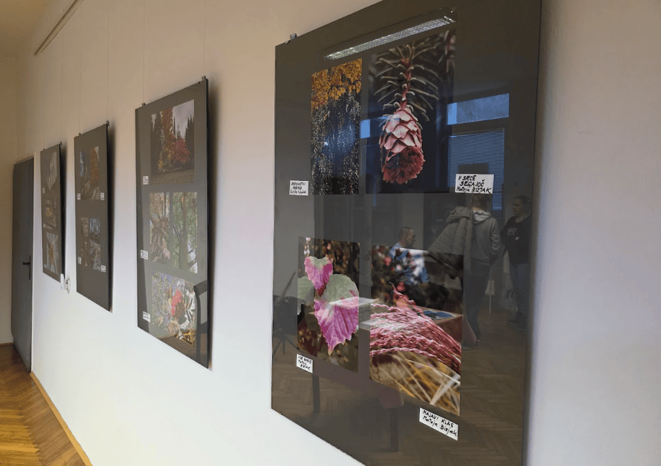 Foto razstava – Lokalno srce, globalno upanje