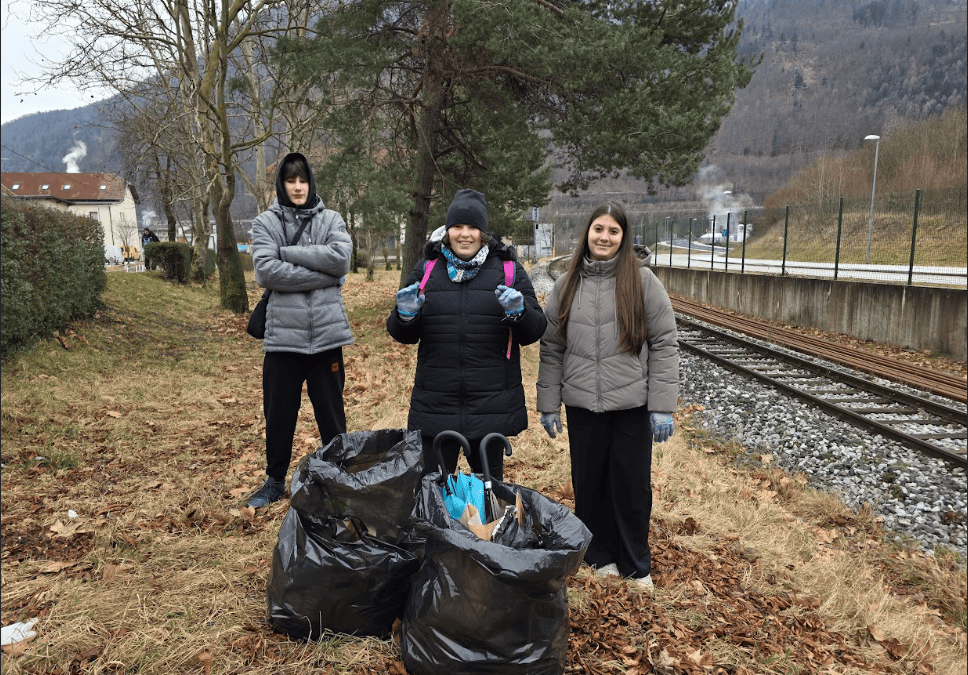 Štiri peresna deteljica – štiri energije, en cilj!