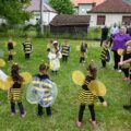 Trajnostno in vključujoče čebelarstvo v Črni gori