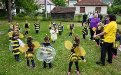 Trajnostno in vključujoče čebelarstvo v Črni gori // novice članic