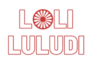 CFGC predstavitev projektov drugi sklop: Društvo za povezovanje romskih žensk Loli Luludi – Od igrišča do skupnosti: opolnomočenje mladih Rominj za globalne spremembe