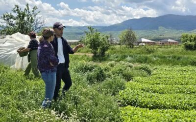 Ko podnebne spremembe poglabljajo neenakosti: kaj lahko lokalne rešitve pomenijo za prihodnost podeželja